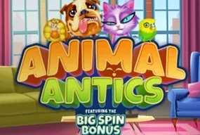 Animal Antics
